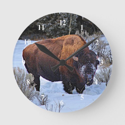 Buffalo Snow Photo Round Clock