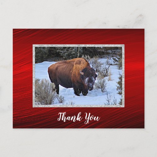 Buffalo Snow Photo Thank You Postcard