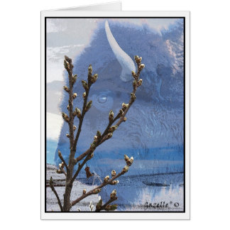 Buffalo Spirit Cards