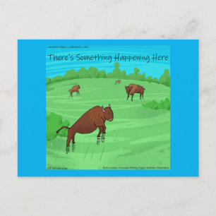 Buffalo Springfield Funny Rick London Postcard