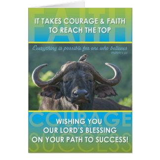 Buffalo Success Cards