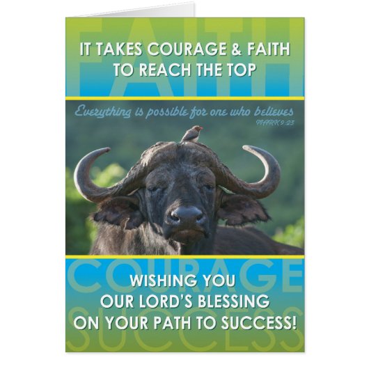 Buffalo Success Cards (Front)