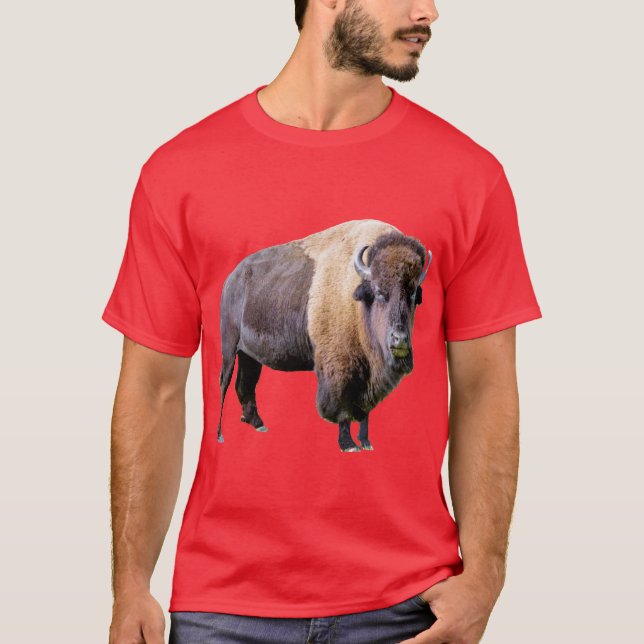 Buffalo T- Shirt (Front)