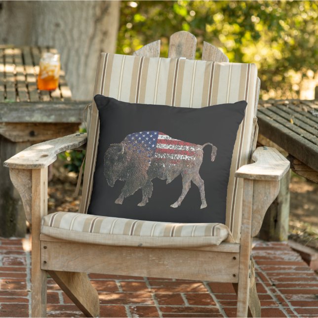 Buffalo - Talking Canyons, New Mexico Outdoor Pillow (Chair)