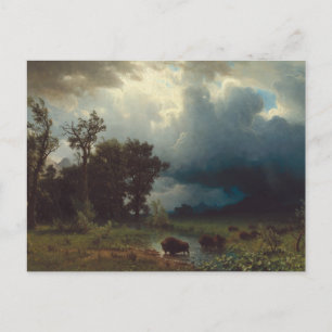 Buffalo Trail: The Impending Storm Postcard