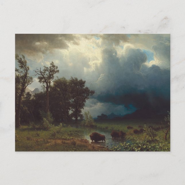Buffalo Trail: The Impending Storm Postcard (Front)