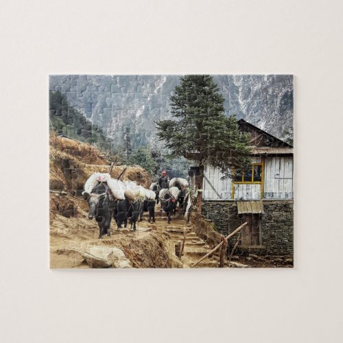 Buffalo transport Everest trail views _ Nepal Jigsaw Puzzle