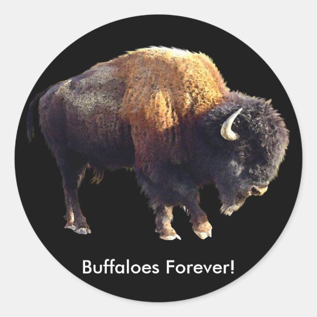 Buffaloes Forever! Bison Lover Art Stickers (Front)