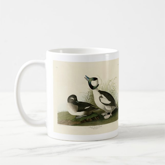 Buffel-headed Duck from Audubon's Birds of America Coffee Mug (Left)