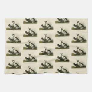 Buffel-headed Duck from Audubon's Birds of America Kitchen Towel