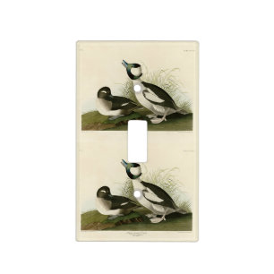 Buffel-headed Duck from Audubon's Birds of America Light Switch Cover