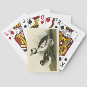 Buffel-headed Duck from Audubon's Birds of America Poker Cards