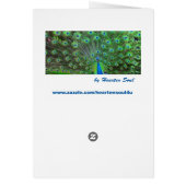 Buffeted by the Waves Cards (Back)