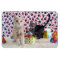 Buffington and Patton's Birthday Cat / Kitten