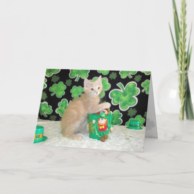 Buffington The Cat - St. Patrick's Day Card (Front)