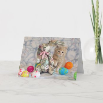 Buffington's Bunny - Cat / Kitten Easter Card