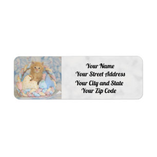 Buffington's Easter  Address Labels - Cat / Kitten