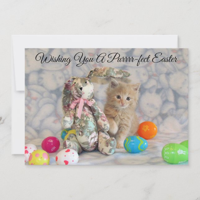 Buffington's Easter Bunny  - Cat - Flat Card (Front)