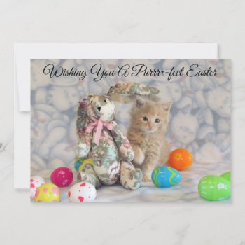 Buffington's Easter Bunny  - Cat - Flat Card