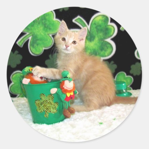 Buffingtons St Patricks Day Cat  Kitten Classic Round Sticker