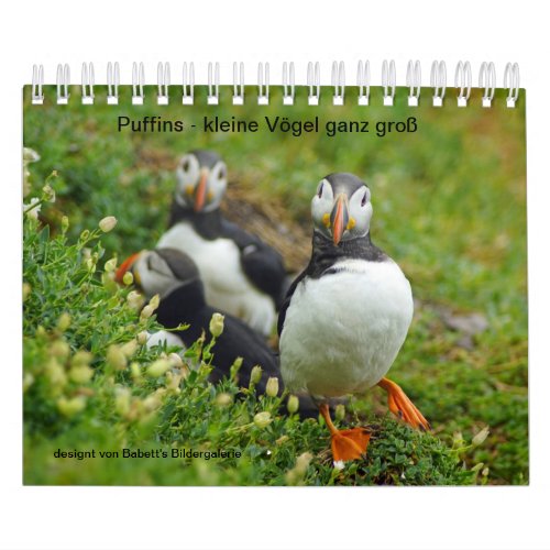 Buffins _ small birds big calendar
