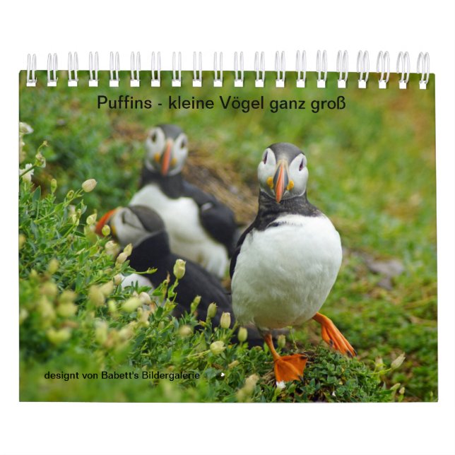 Buffins - small birds big calendar (Cover)