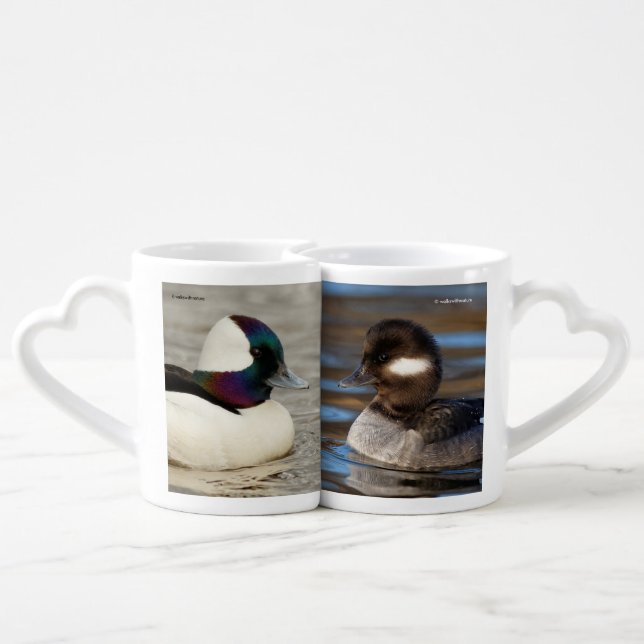 Bufflehead Duck Lovebirds on the Lake Coffee Mug Set (Back Nesting)