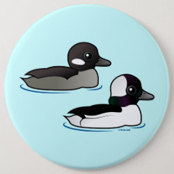 bufflehead duck sounds