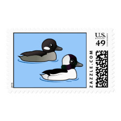 Bufflehead Pair Medium Stamp 2.1
