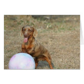 Buford 1 (Front Horizontal)