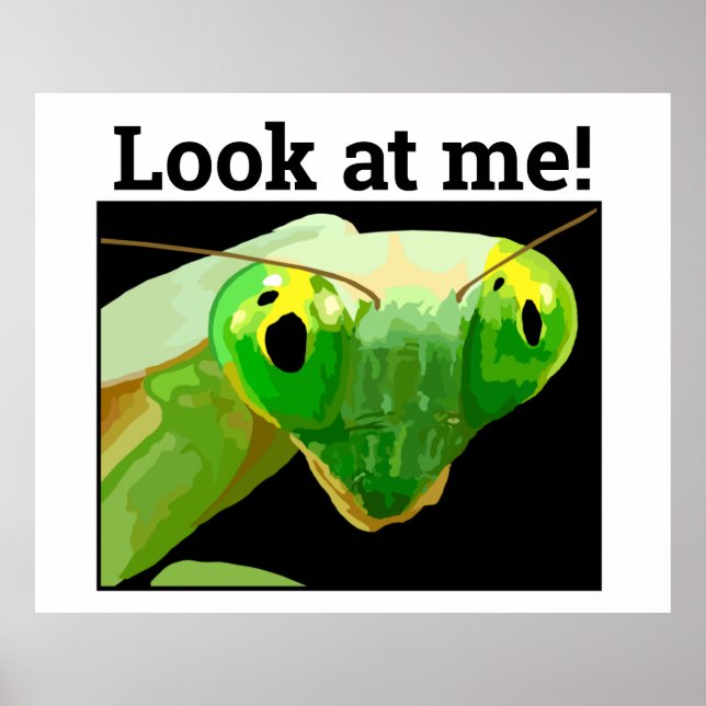 BUG 3 POSTER (Front)