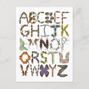Bug Alphabet Kids Insect theme ABC Postcard