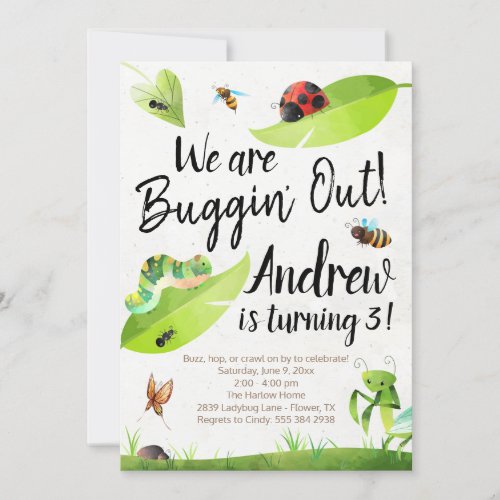 Bug Birthday Invitation _ We are Buggin Out