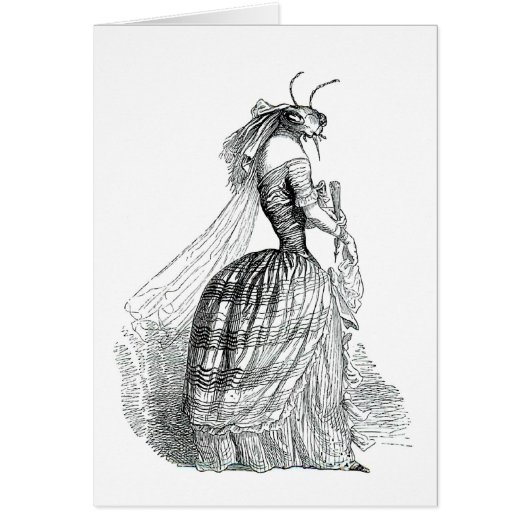 Bug Bustle Cards (Front)