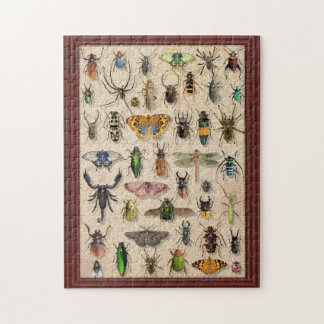 Bug Collection Insects Fun Entomology Jigsaw Puzzle