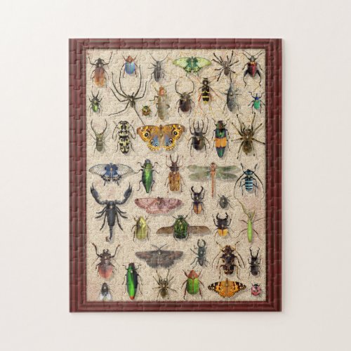 Bug Collection Insects Fun Entomology Jigsaw Puzzle