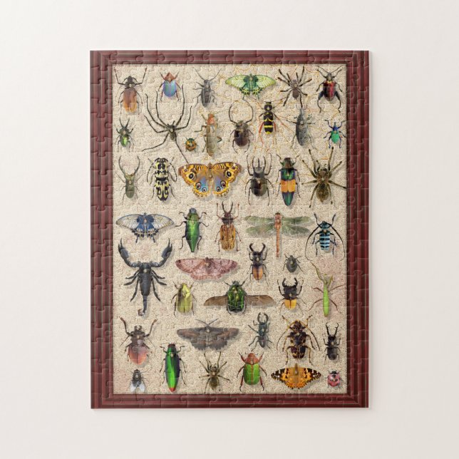 Bug Collection Insects Fun Entomology Jigsaw Puzzle (Vertical)