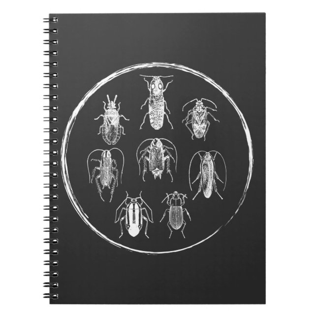 Bug Collector Nature Entomology Insects Graphic Notebook (Front)