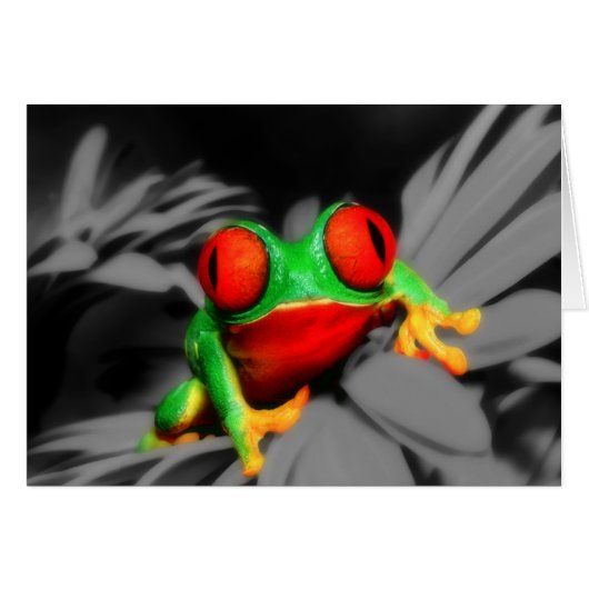 Bug-Eyed Frog Cards (Front Horizontal)