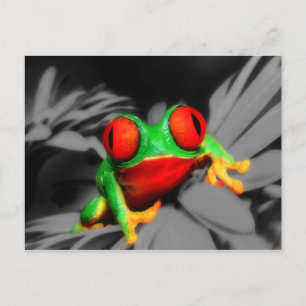 Bug-Eyed Frog Postcard