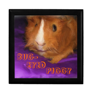 BUG-EYED PIGGY Guinea Pig Keepsake Box