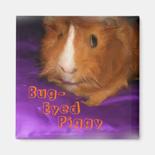 Bug-Eyed Piggy Guinea Pig Magnet