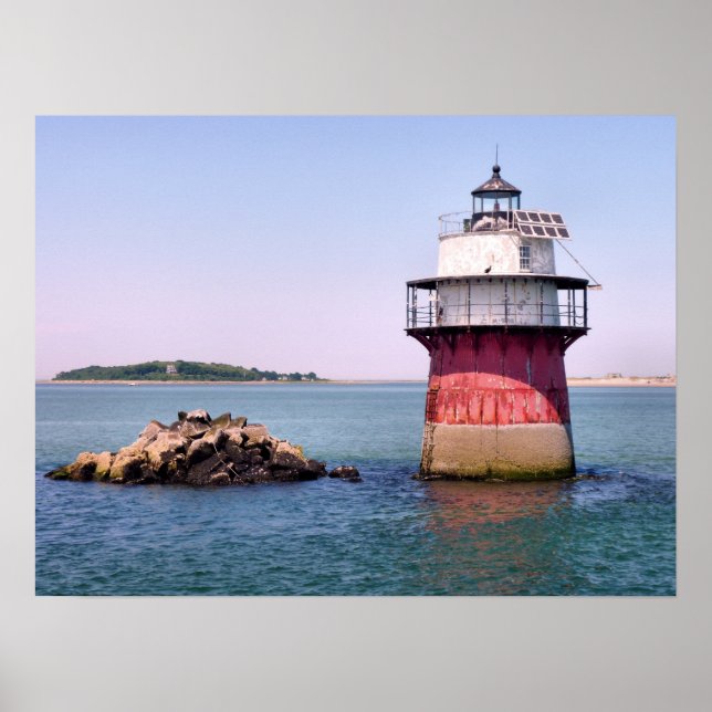 Bug Light Poster (Front)