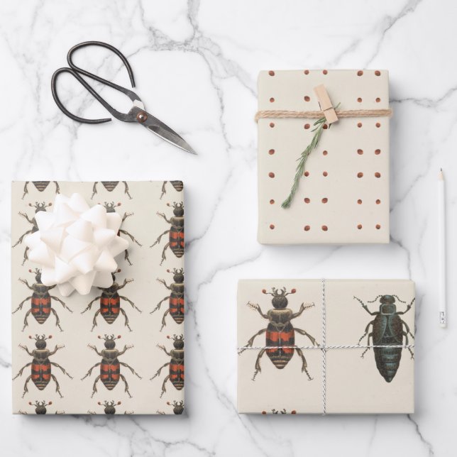 Bug Lover Insect Pattern All Occassion Wrapping Paper Sheets (Front)
