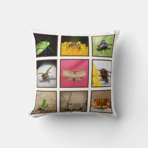 Bug Lovers Delight Insect Photography Throw Pillow