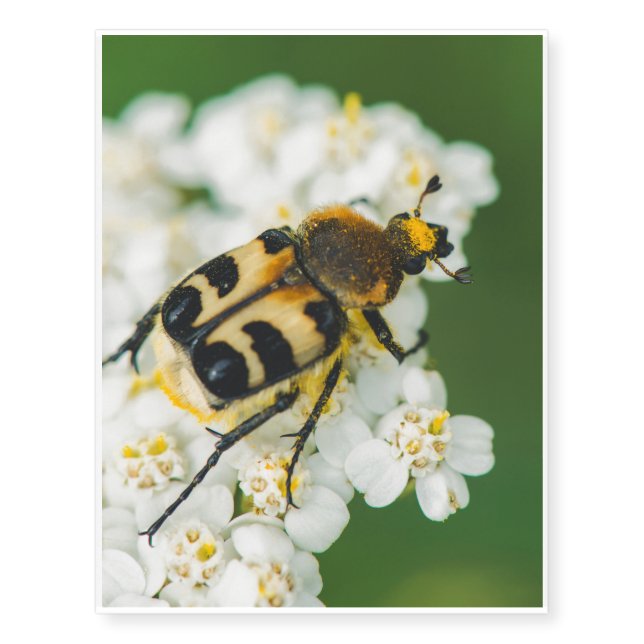 Bug on a white flower macro temporary tattoos (Front)