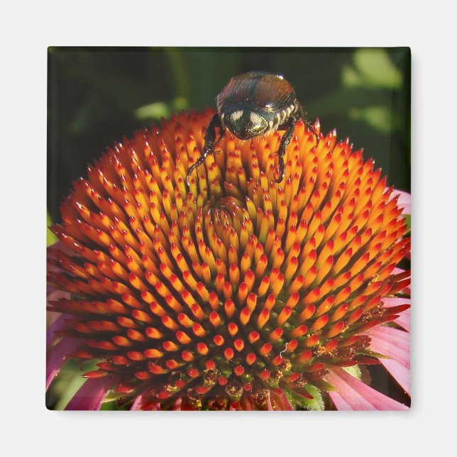 Bug on Flower Magnet (Front)