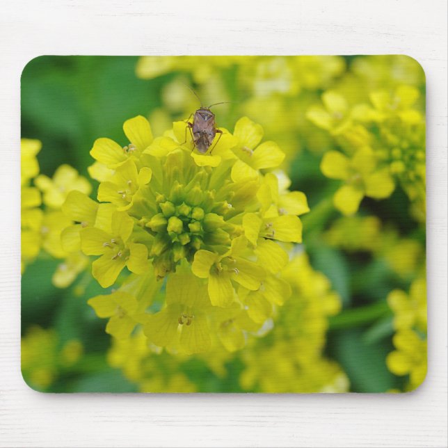 Bug on Flower Mouse Pad (Front)