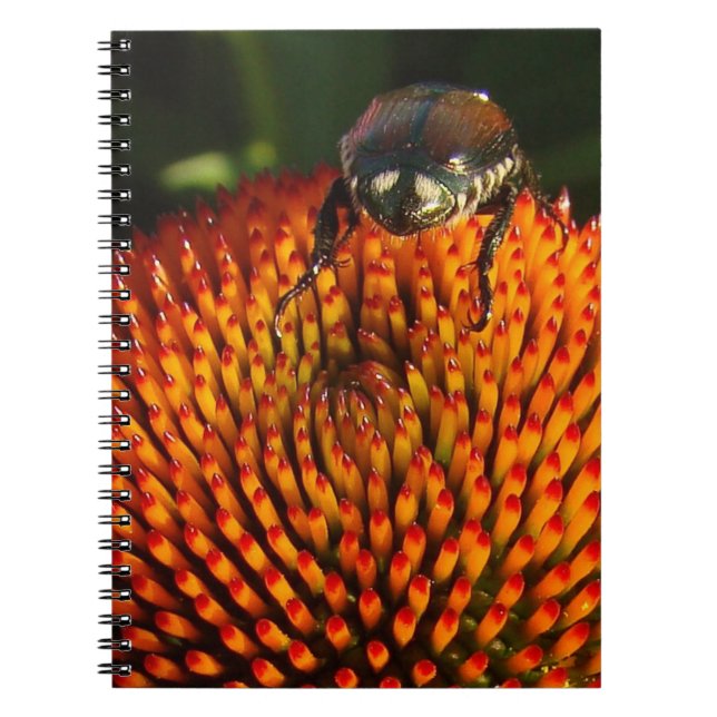 Bug on Flower Notebook (Front)