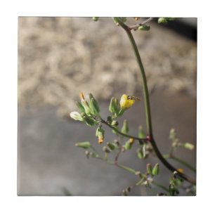 Bug on Flower Tile